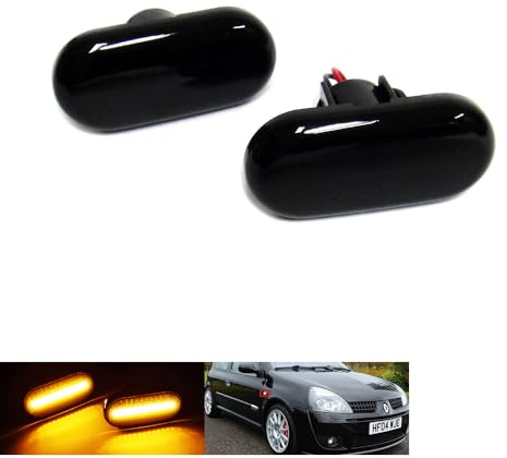 RZG 2x Seitenblinker schwarz LED Blinker für Clio I II Espace III Kangoo I II Megane I Master II Trafic II Twingo Fortwo 453