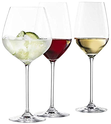 Schott Zwiesel 119225 Sektglas/Champagnerglas Fortissimo Set, 18 pcs