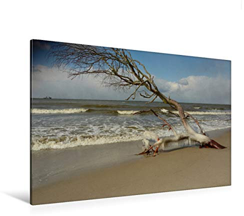 Premium Textil-Leinwand 120 x 80 cm Quer-Format Eiszapfen bilden sich an den Ästen | Wandbild, HD-Bild auf Keilrahmen, Fertigbild auf hochwertigem Vlies, Leinwanddruck von Renate Grobelnx