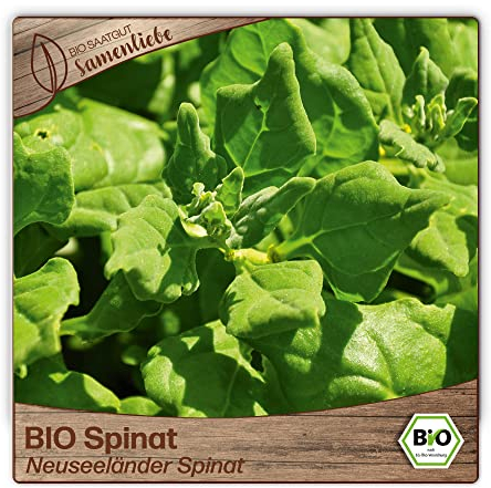 Samenliebe BIO Neuseeländer Spinat Samen grün 30 Samen samenfestes Saatgut, Freiland, Balkon BIO Gemüse