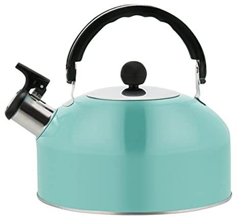 PRETYZOOM Bouilloire Sifflante À La Menthe À Chauffage Rapide Et Efficace En Acier Inoxydable - Poignée Anti-brûlure