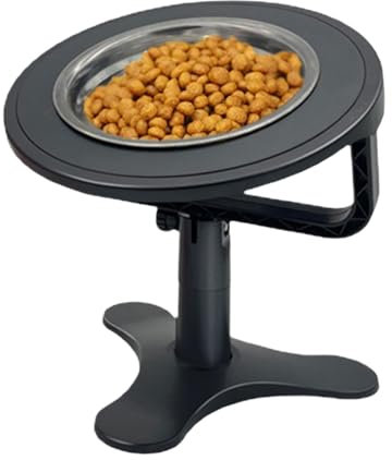 Cat Food Bowls Elevated - Stainless Steel Raised Cat Bowls,Slow Feeder Dog Bowls, Tilted Cat Elevated Food Bowl for Dogs Cats Pets
