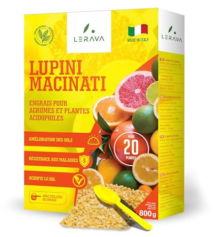 LERAVA Abono Cítricos 800g - Fertilizante Natural de Altramuces Molidos para Limón, Naranjo y Plantas Acidófilas - Ideal para Mandarino, Kumquat y Pomelo - Mejora el Crecimiento y Follaje
