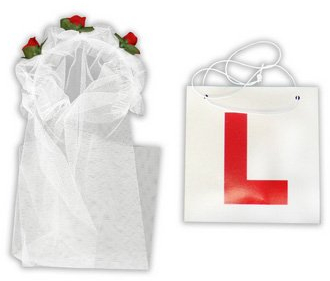Hen Night Veil and L Plate Set