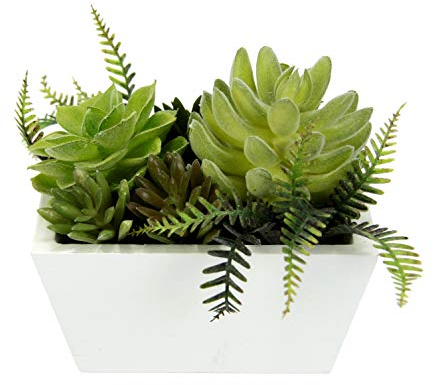 Künstliche Sukkulenten im Holz-Topf Arrangement Gefälschte Kaktus Kakteen Kunstpflanze Kunstblume Pflanze Topfpflanze Grünpflanze Aloe Vera Deko Blume Tischdeko