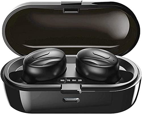 Xawy Bluetooth Headphones, Bluetooth 5.0 Wireless Earphones in Ear Stereo Sound Microphone Mini Wireless Earbuds with Headphones and Portable Charging Case for iOS Android PC XA-8