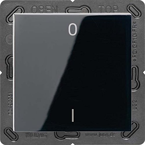 Jung ENOA590-01SW ENO Funk Wandsender, 2 Kanal mit Symbol 01