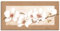 ARTLAND Wanddeko Leinwand Bilder Wandbild 150x75 cm + weitere Größen Gemälde Blumenbilder Orchidee Beige T3MQ