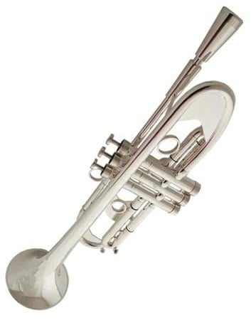 Trompete Professionelle B Trompete für Anfänger Instrument für Erwachsene