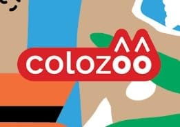 colozoo Vernice per Vetro e Porcellana Lavabile in Lavastoviglie - 14x20ml incl. Oro, Argento, 4 Colori Glitterati e 3 Pennelli - Set di Pittura per Ceramica Cancellabile