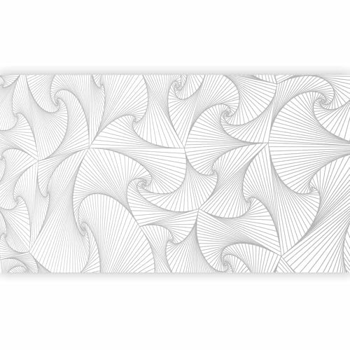 murando - Photo Non-Woven Wallpaper Abstract 500x280 cm /196.85 x 110.24 inches XXL Print Wall Mural White Gray Modern a-A-0254-a-b