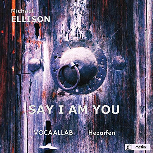 Say I Am You (Mevlana)