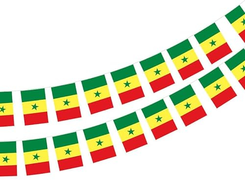 Drapeau Mali 40 pièces Drapeau Mali Guirlande Mali 11,4 M Fanions Mali Drapeau National 14 x 21 cm pour décorations de bar