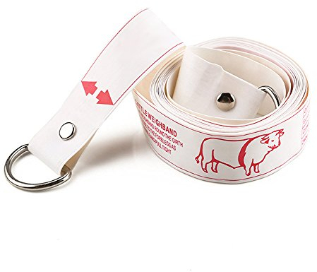 WIN TAPE Profi-Gewichts- und Höhenbandmaß für Rinderwiegen