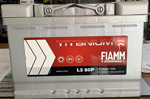 FIAMM 7905157-249 L380P Batteria Titanium Pro, 80Ah 730A DX