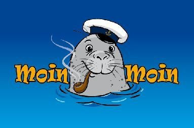 Autoaufkleber Sticker Fahne Moin Moin Seehund Pfeife Aufkleber