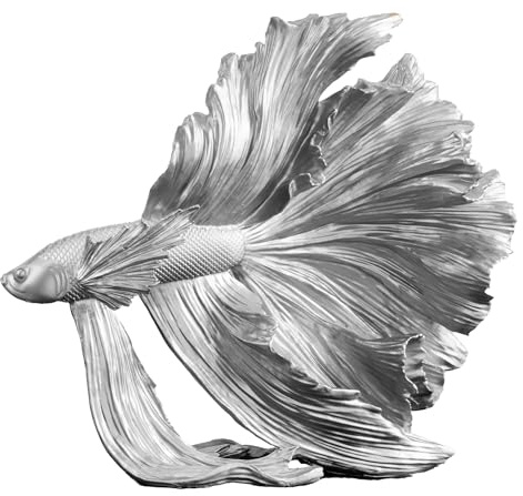 Kampffisch CROWNTAIL 32cm - silber - Kunststein glänzendes Finish maritim | Montiert geliefert, detailgetreue Ausarbeitung, Statement Piece, schwebende Optik, Eyecatcher, für Wohnräume, Unterwasserwelt