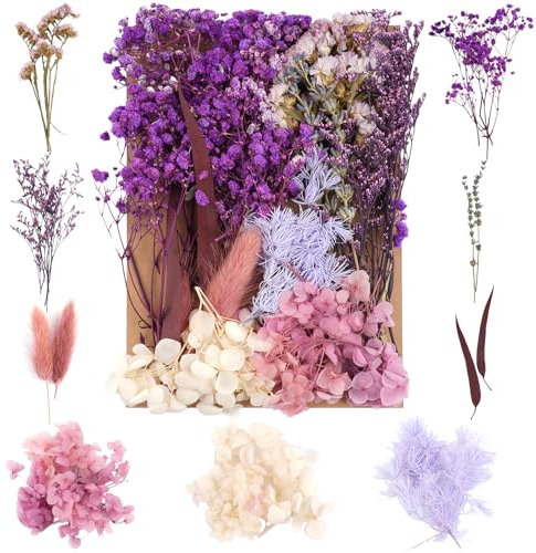 Trockenblumen,Natürliche Gemischte Getrocknete Blumen,Trockenblumen Zum Basteln,Trockenblumen Klein für DIY Epoxidharz Scrapbook Zubehör Handwerk Karten Machen (Violett)