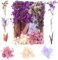 Trockenblumen,Natürliche Gemischte Getrocknete Blumen,Trockenblumen Zum Basteln,Trockenblumen Klein für DIY Epoxidharz Scrapbook Zubehör Handwerk Karten Machen (Violett)