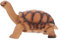 FELTECHELECTR Realistisches Schildkrötenmodell Aus Dekoratives Tiermodell Für Sammler Und Hochwertige Tierfigur Ideal Als Oder Deko Für Aquarien Und Wohnräume
