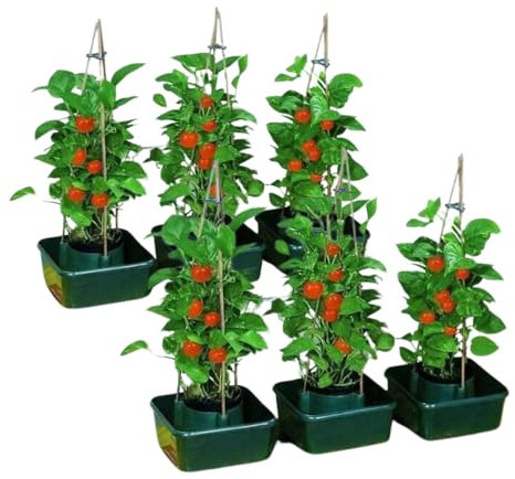 Garden Mile 6pc Tomato Plant pots Plant Supports Greenhouses Garden Pots Growbag Plastic for Tomatoes, Strawberries, Herbs Grow Bag for Vegetables Beds Greenhouse (6pc)
