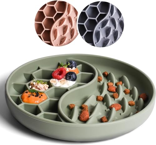 Gamelle anti-glouton pour chats et petits chiens, alimentation lente, tapis anti-fuite de 20 cm avec de grandes ventouses