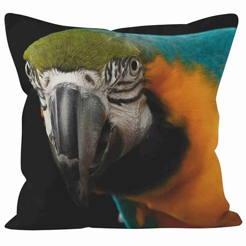 Nimvoya Lin Tapis de Souris 3 en 1 Tapis Souris Petite Taille 50x50cm, Perroquet Tapis de Souris XXL Manga One Piece Tapis Souris 3D Anime Décoration de Canapé de Salon 1Pcs