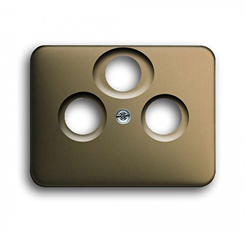 Busch-Jaeger 1743-03-21-101 Zentralscheibe