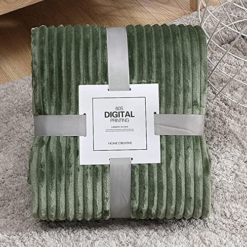 HshDUti Comfort Luxury Fleece Throw Blanket, Fleece Blanket Sofa Throw, Versatile Blanket Fluffy Soft Throw Blankets for Bed and Couch Travel Grass Green 100 * 150cm.
