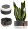 KADAX Maceta, maceta de cerámica en 2 variantes de color, maceta con relieve decorativo, maceta de cerámica, maceta para plantas de interior (17 x 9 cm, gris)