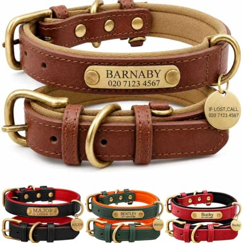 Collar de cuero personalizado para perro con placa de identificación grabada, ajuste cómodo ajustable para perros pequeños, medianos y grandes, collar personalizado para cachorros y perros adultos