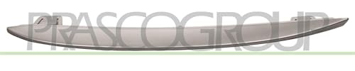 PRASCO BM0482128 Protective Strips