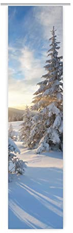 gardinen-for-life Flächenvorhang Mein Traumwinter 1, Weihnachten Schiebevorhang mit Druck-Motiv, Gr.60x245 cm Tolles Motiv