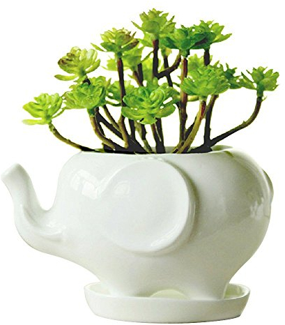 Youfui Keramik-Blumentopf für Sukkulenten Pflanzen, Behälter für Schreibtisch Mini Ornamente (Elefant L)