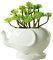 Youfui Keramik-Blumentopf für Sukkulenten Pflanzen, Behälter für Schreibtisch Mini Ornamente (Elefant L)