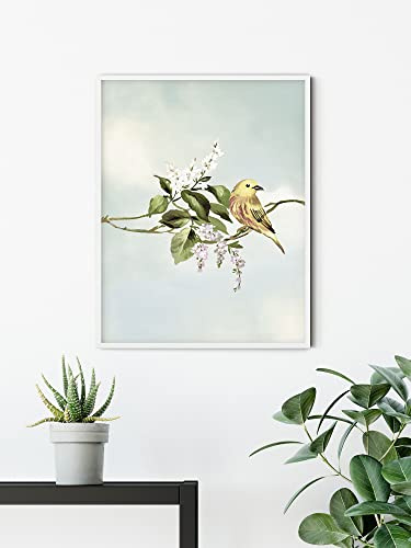Komar Wandbild - Gazouillis des Oiseaux - Größe: 40 x 50 cm - Poster, Kunstdruck, Dekoration, Wohnzimmer, Schlafzimmer (ohne Rahmen)