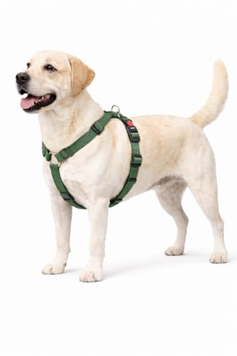 hundegeschirr - ziggi kaki H-Form - größe L - 60-85 cm / 70-100 cm - 25 mm - Nylon hundegeschirr verstellbar