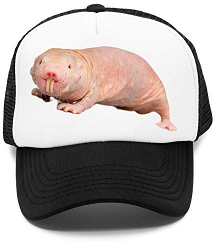 Nackt Maulwurf Ratte Kinder Kappe Baseball Rapper Cap