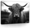 WallArena - Leinwand Bilder - Schottisches Hochlandrind Cow Tiere Schwarz - 120x80 cm Leinwandbilder - Bild auf leinwand - Wandbild XXL groß Wandbilder für Wohnzimmer Schlafzimmer Modern