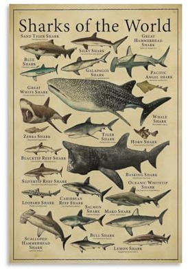 CYPGTBCK Poster Types of Shark Nowledge, Bildungsposter, dekoratives Gemälde, Leinwand, Wandkunst, Wohnzimmer, Poster, Schlafzimmer, 40 x 60 cm