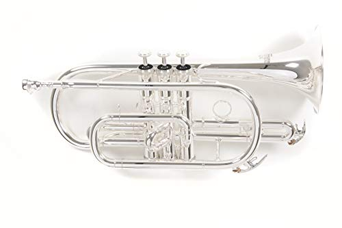 Roy Benson Bb-Kornett CR-202S (Hochwertiges, leichtes Messinginstrument, für den professionellen Einsatz, inklusivem Rechtecketui, mit Rucksackgarnitur), lackiert