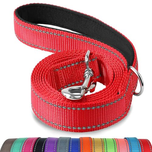 Joytale Hundeleine Kleine Hunde Leicht, Doppelseitig Reflektierende Leine Hund aus Nylon mit Gepolstertem Griff, 1,2m x 2cm, Rot