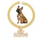SwiftGoods Goldfarbenes Hundehalsband mit King-Anhänger, 14 mm breit, kubanische Glieder-Halskette, modisches Haustierhalsband für kleine Hunde, mittelgroße Hunde und Katzen