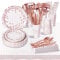 AIPartywar Party Tableware Set, Kids Birthday Party Plates Supplies 226 Piece Rosegold Paper Plates Set With Cups Napkins Straw Dinnerware for Babyshower Engagement Wedding - 25 Guests