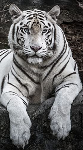 Miracle Home. Microfiber Beach Towel Tigre, 100% Poliéster, 75 X 145 cm. 15084
