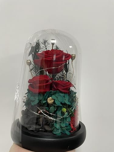 DINGHENG Ewige Rosen im Glas mit LED Licht, 3 Echte Konservierte Rosen Infinity Blumen als Geschenke für Frauen Freundin Mädchen Damen für Geburtstag Hochzeit Thanksgiving Weihnachten Valentinstag