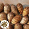 Luojuny 200pcs/Beutel Colocasia Esculenta samen, Schnell Wachsend Nick GMO Laubbaum Fettarm Bonsai samen für Haus Haus Saatgut