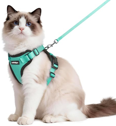 rabbitgoo Cat Harness and Lead Set, Adjustable Escape Proof Cat Lead for Walking, Reflective Kitten Harness Set, Soft and Comfortable for Medium to Large Cats, Green, M