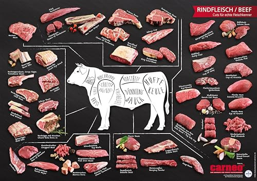 Plakat – Rindfleisch/Beef – Cuts für echte Fleischkenner (DIN A1)