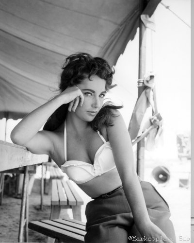 Elizabeth Taylor Mini-Poster 28 cm 43 27,9 x 43,2 cm BW Foto
